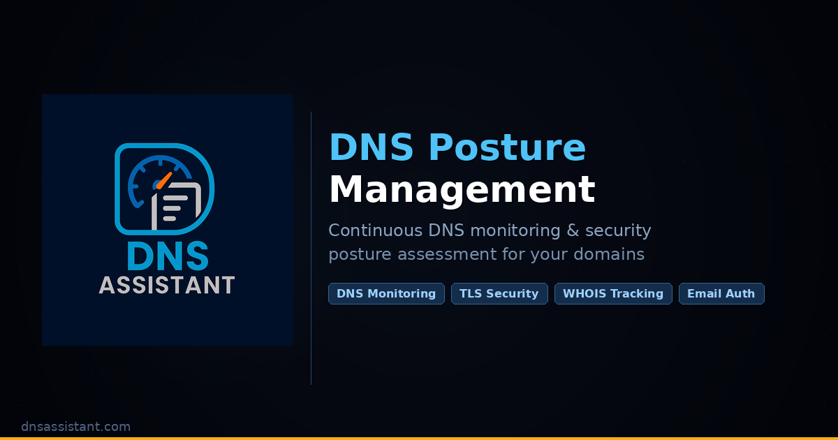 DNS Assistant preview