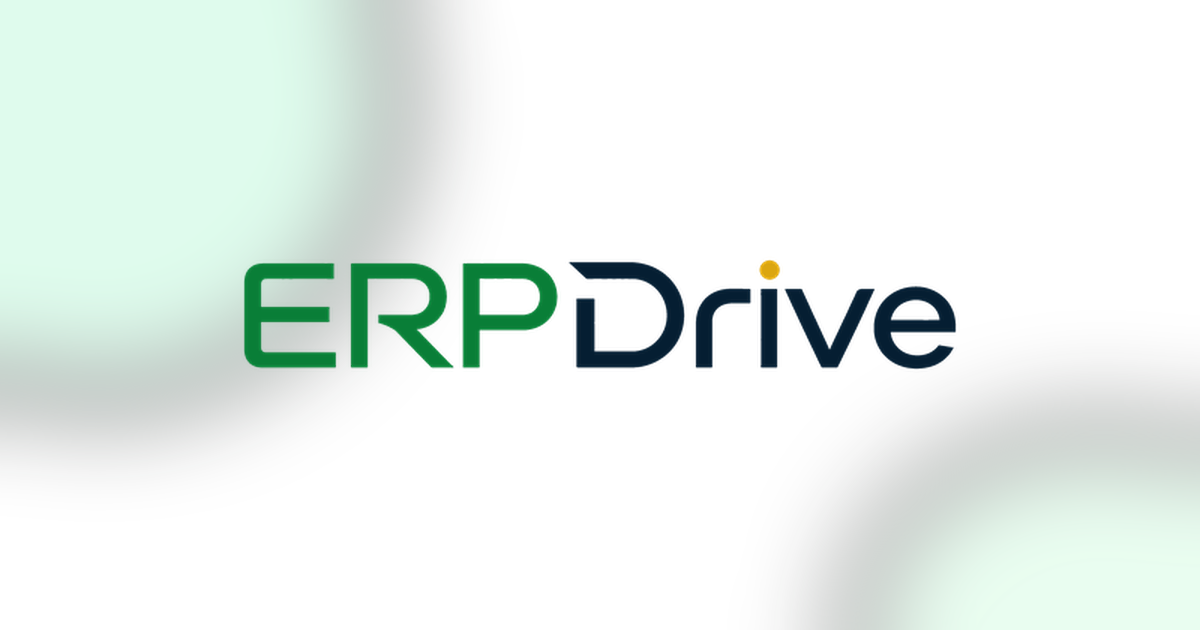 ERP Drive preview