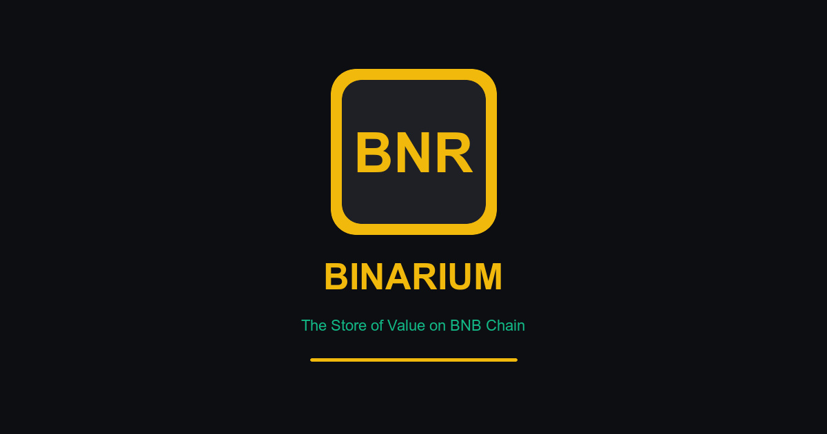 Binarium ($BNR) preview